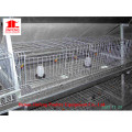 Chicken Farm Poultry Equipment for Layer Broiler Breeding